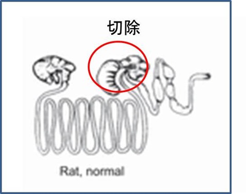 ま３図1