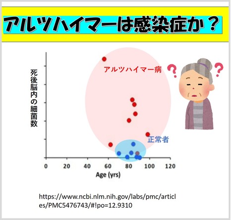 あるつはいまー