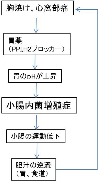 胆汁逆流2