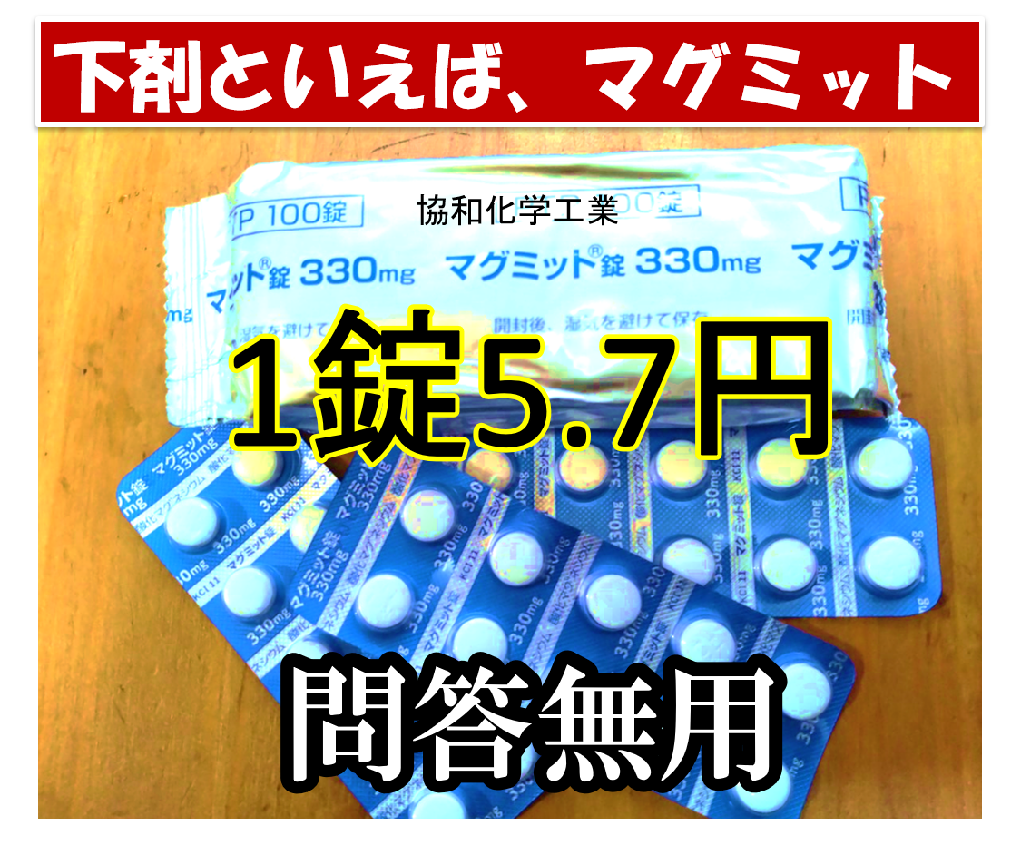 乳酸菌と食物繊維は腸を壊す 出版前 酸化マグネシウム 宇野コラム Uno Column