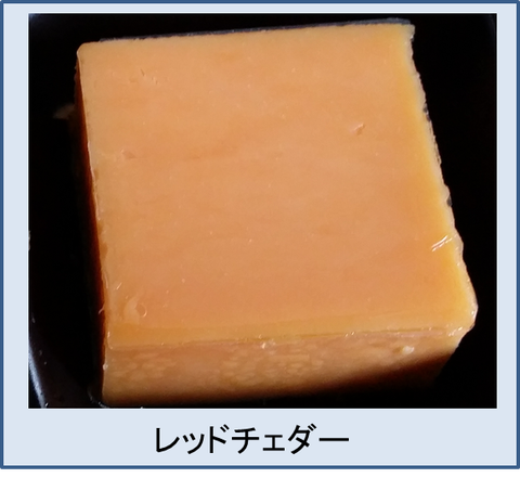 ちぇだ図1