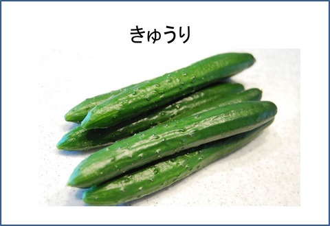 １９図1