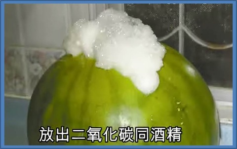 す6図1