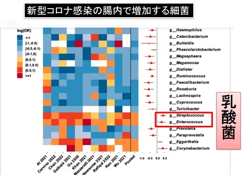 ころな