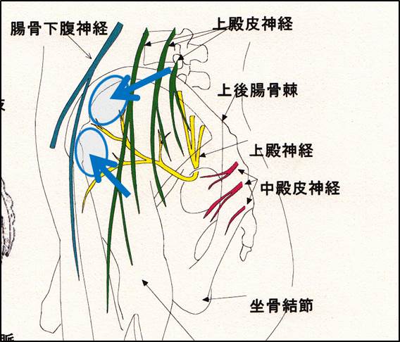 再掲載 続 マルクの体位は横向きです 宇野コラム Uno Column