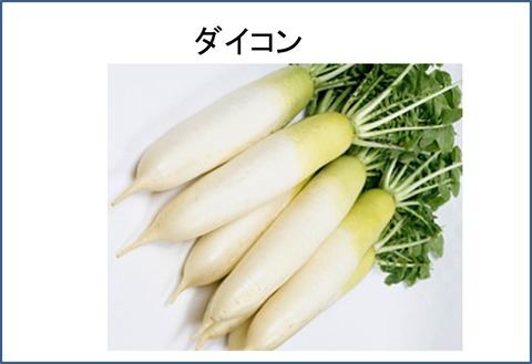 １８図1