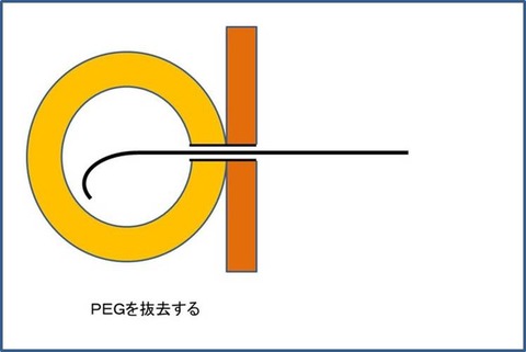 かくちょう２