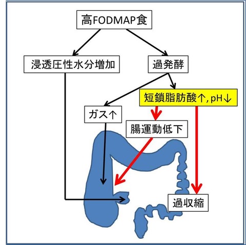１１図1