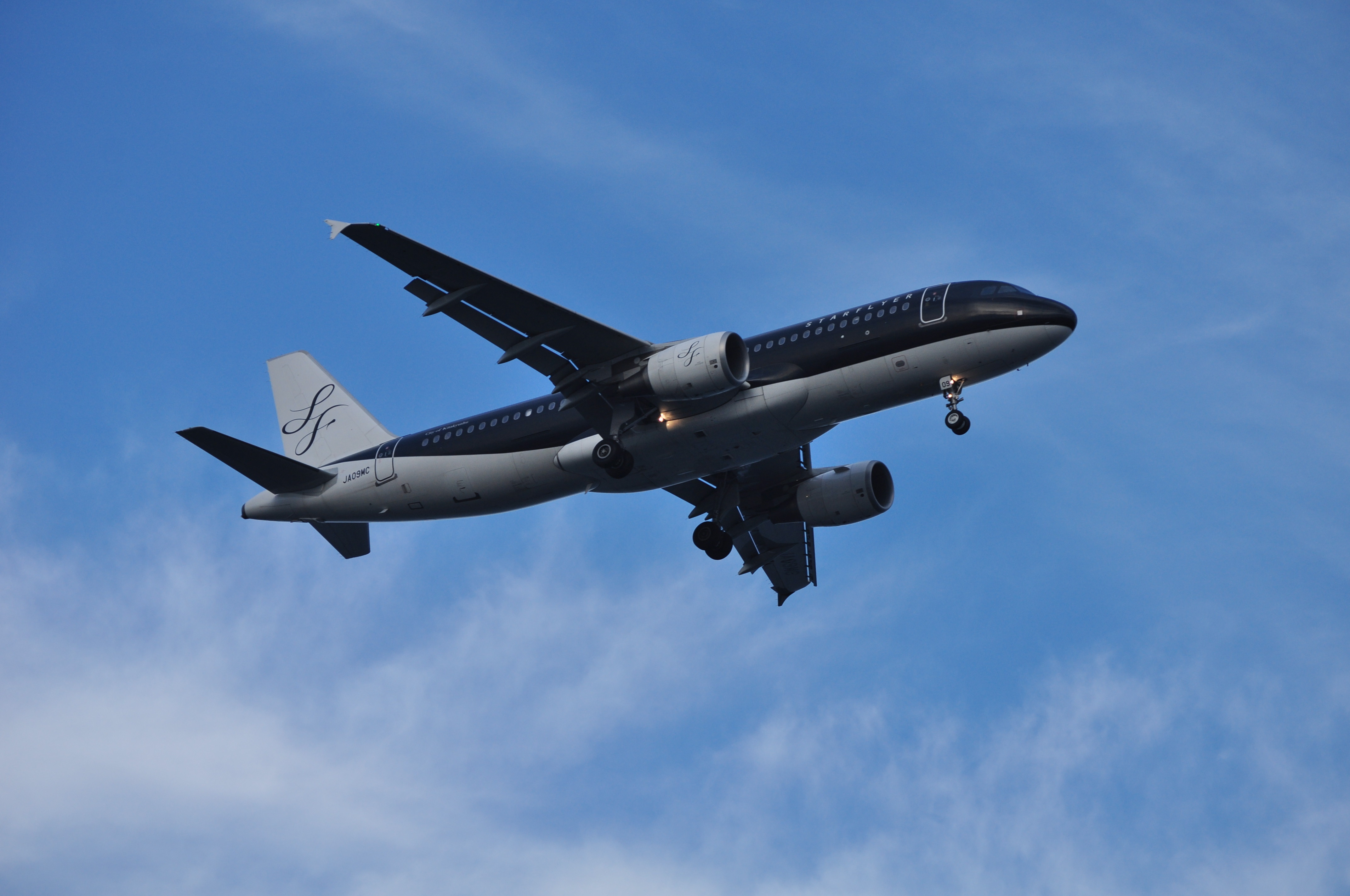 日本国内のlccと新興航空会社とフルサービスキャリア スガbの独り言