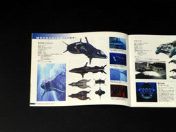 青の6号「りゅうおう」その2計画1 : ラジコン水中模型とル