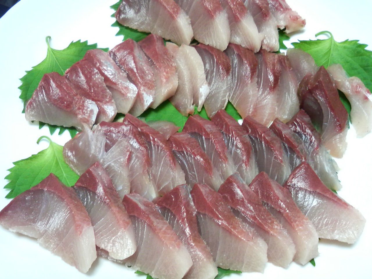 剣崎松輪で釣ったワラサを食べた ヨシケンが気楽に釣りをして 真剣に料理を作り 適当なことを言うblog 剣崎松輪で釣ったワラサを食べた ヨシケンが気楽に釣りをして 真剣に料理を作り 適当なことを言うblog