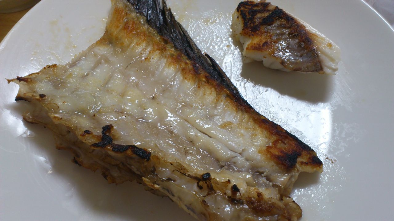 南房で釣ったマハタを食べた ヨシケンが気楽に釣りをして 真剣に料理を作り 適当なことを言うblog 南房で釣ったマハタを食べた ヨシケンが気楽に釣りをして 真剣に料理を作り 適当なことを言うblog