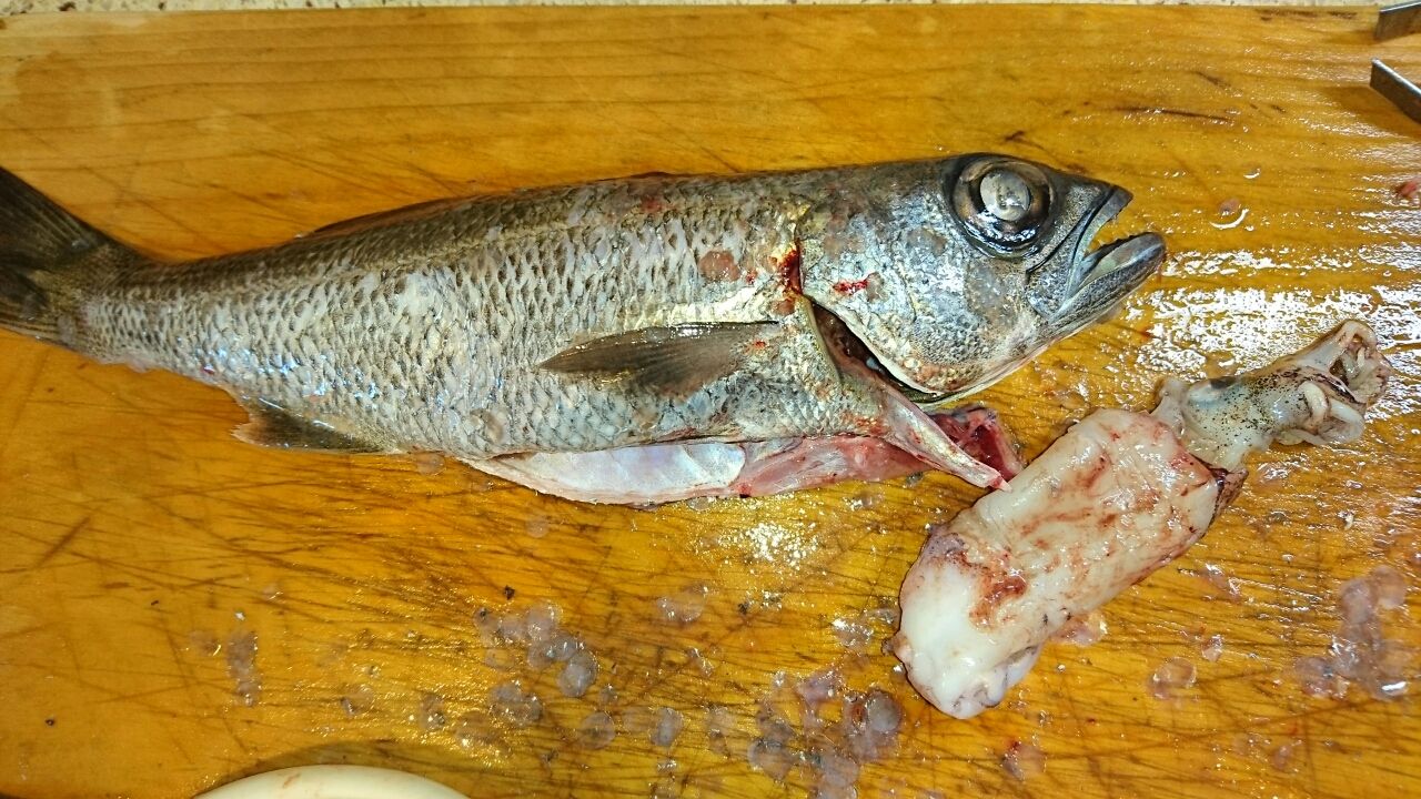 16 09 18 東伊豆 網代 つちそう丸 半夜クロムツ ヨシケンが気楽に釣りをして 真剣に料理を作り 適当なことを言うblog 16 09 18 東伊豆 網代 つちそう丸 半夜クロムツ ヨシケンが気楽に釣りをして 真剣に料理を作り 適当なことを言うblog