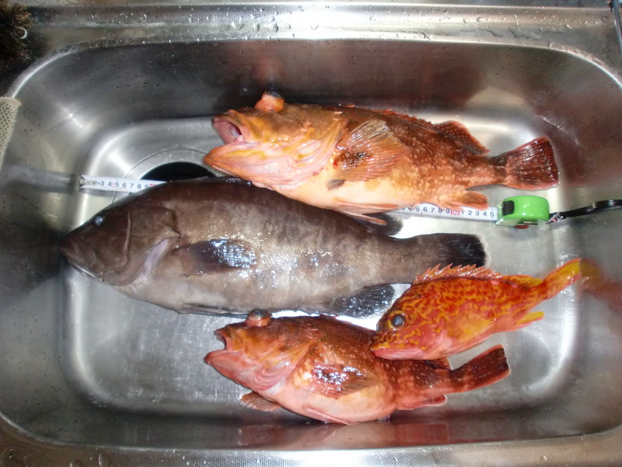 13 02 09 南房 伊戸 海老丸 イワシ泳がせ ヨシケンが気楽に釣りをして 真剣に料理を作り 適当なことを言うblog 13 02 09 南房 伊戸 海老丸 イワシ泳がせ ヨシケンが気楽に釣りをして 真剣に料理を作り 適当なことを言うblog