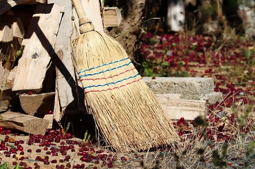 broom-g584982fa0_640