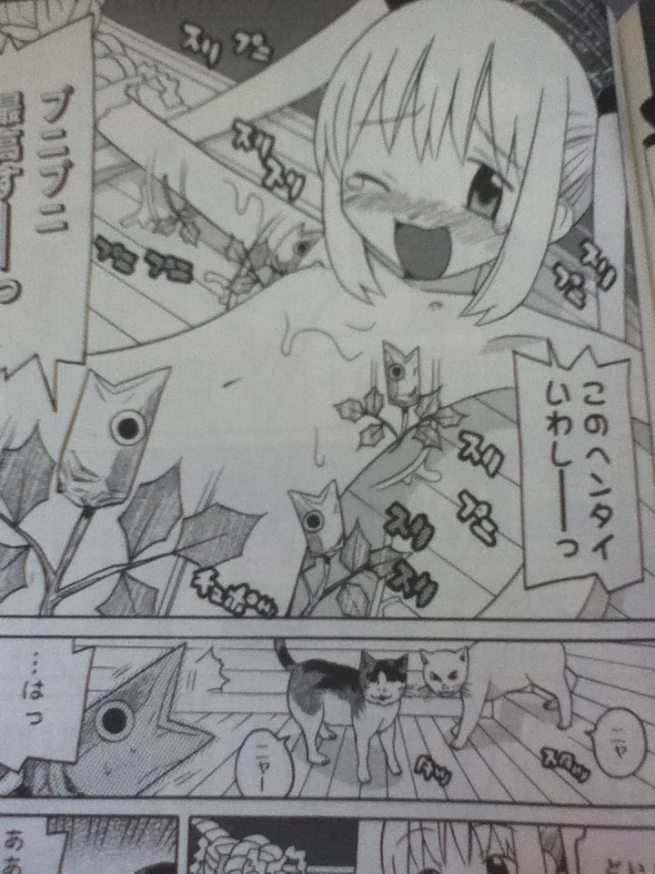 【激レア】バケカノ 2巻 井上行広 ホッピーゴクゴク 同人・非一般流通漫画 バケカノ 2巻 井上行広