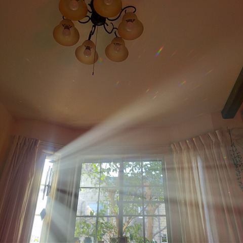 IMG20230215154556
