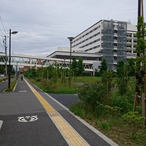 IMG_20190705_150219_821