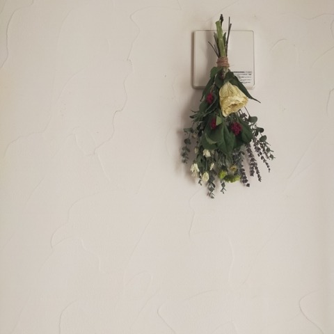 IMG20230112150749