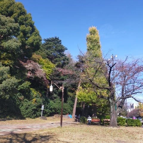 IMG20221117100835