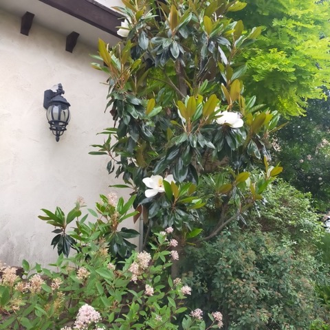 IMG20220601152954