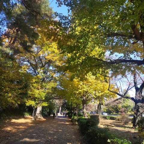 IMG20221117100600