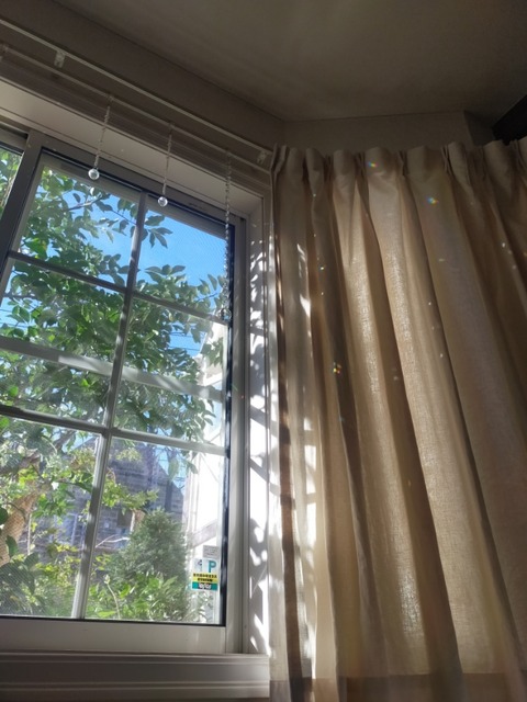 IMG20241123134524