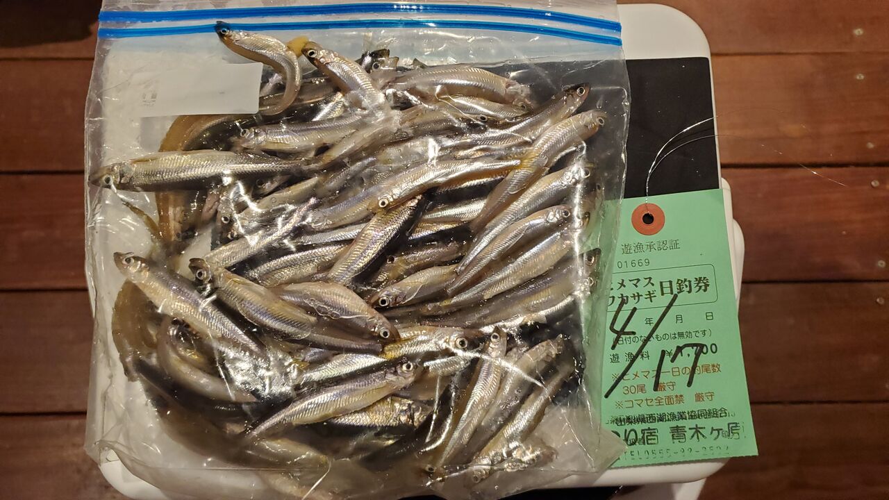 甲州の渓流釣りバカ日誌 22ワカサギ釣り 16回目釣行 西湖 甲州の渓流釣りバカ日誌 22ワカサギ釣り 16回目釣行 西湖