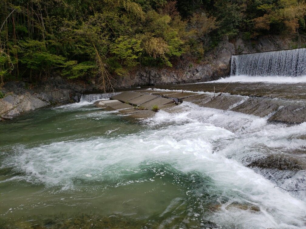 甲州の渓流釣りバカ日誌 渓流 35回目釣行 日川
