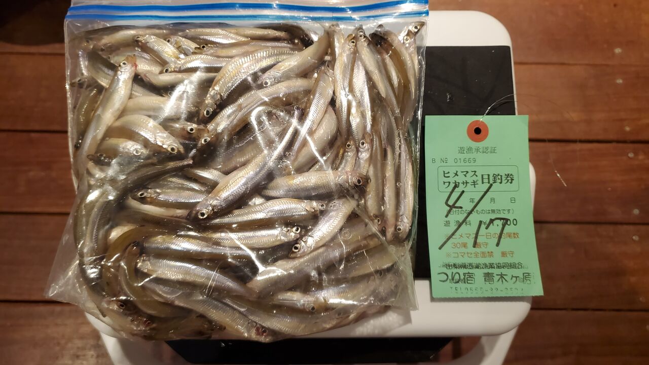 甲州の渓流釣りバカ日誌 22ワカサギ釣り 16回目釣行 西湖 甲州の渓流釣りバカ日誌 22ワカサギ釣り 16回目釣行 西湖