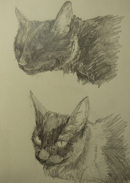 オーダー品｢黒猫」 : YOSHiNOBU 羊毛フェルトでつくる動物
