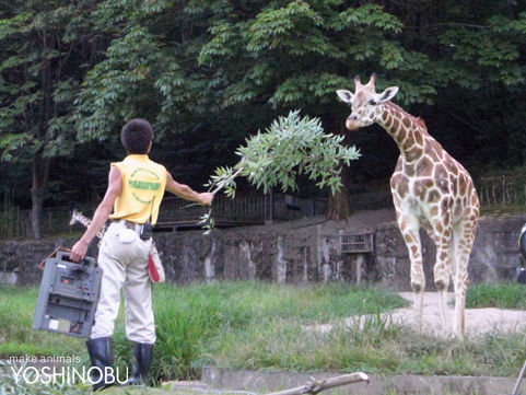 東山動物園 ナイトズー Yoshinobu 羊毛フェルトでつくる動物