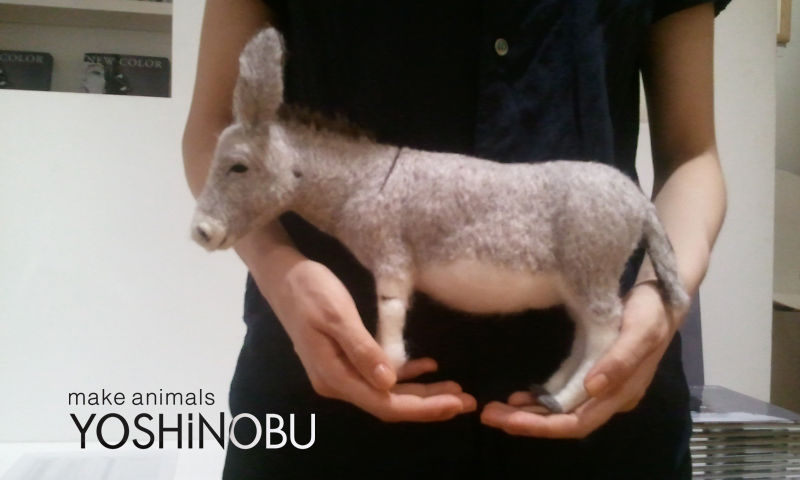 Yoshinobu 羊毛フェルトでつくる動物 作品展示 Yoshinobu 羊毛フェルトでつくる動物 作品展示