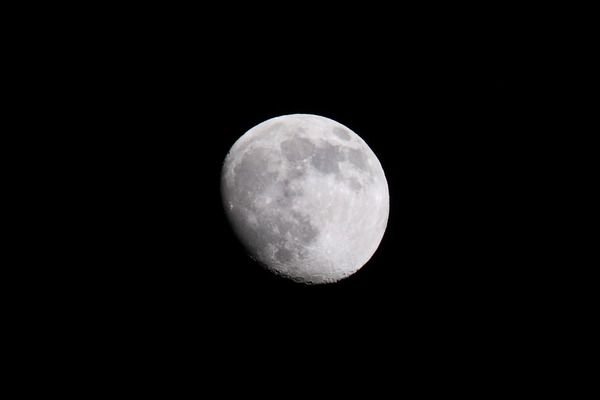 IMG_0285