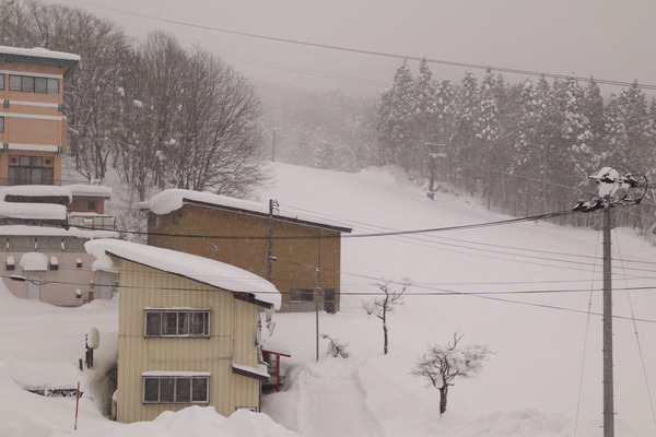 写真 2017-01-24 8 32 54