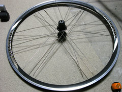 �ۤ����룱