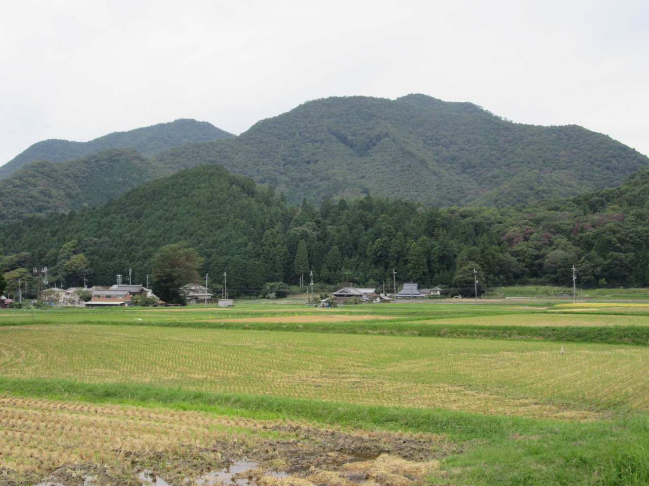 100歳以上が6万5692人 人口比で島根県が一番 由さん のくらしの便り 100歳以上が6万5692人 人口比で島根県が一番 由さん のくらしの便り