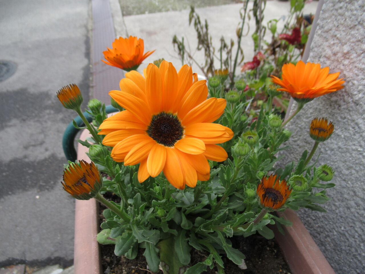 大学ファンド法案 って何 第3次補正予算に5 000億円計上 由さん のくらしの便り