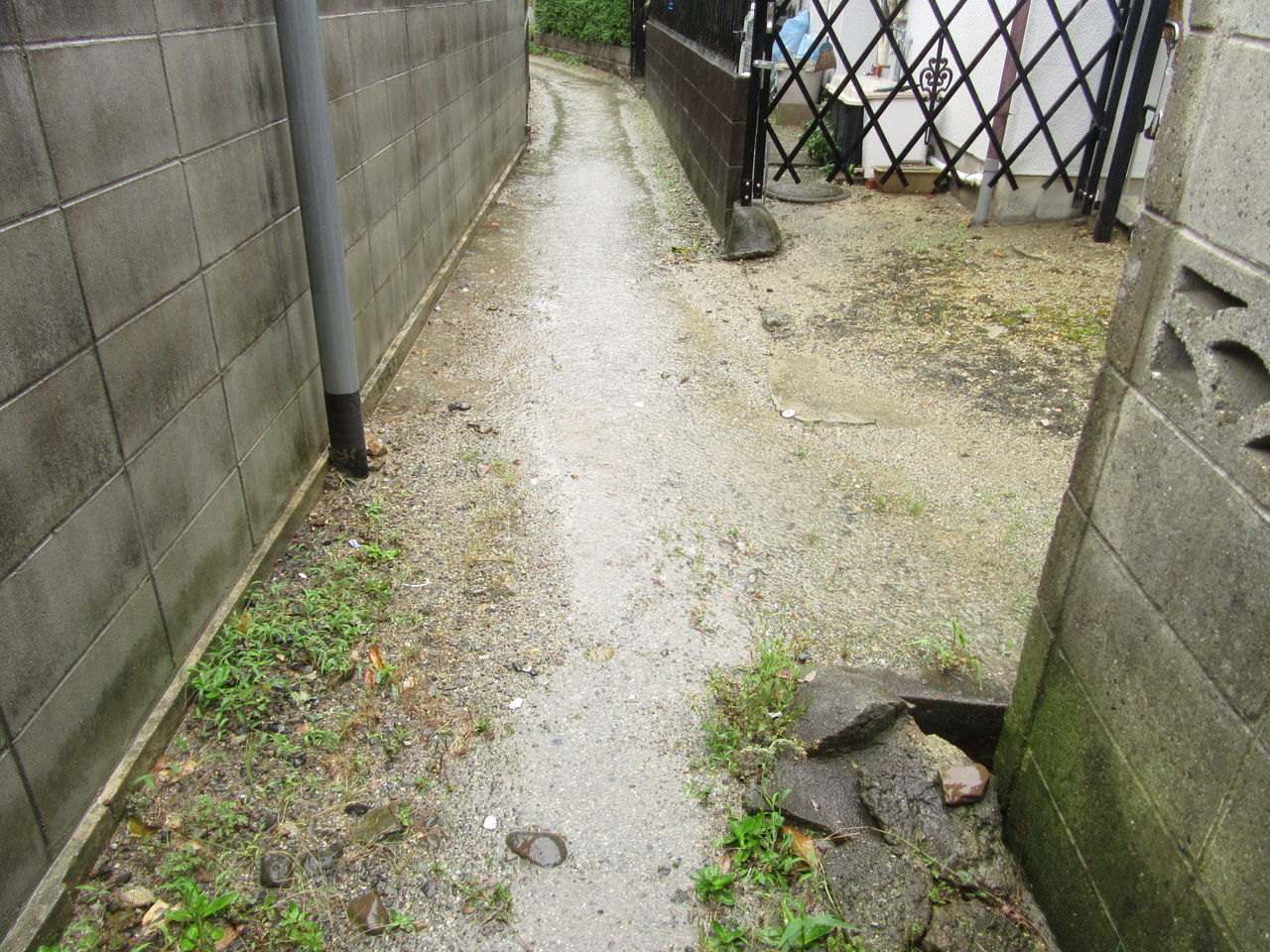 川西市では５日 23時現在 大雨洪水警報が発令されています 由さん のくらしの便り