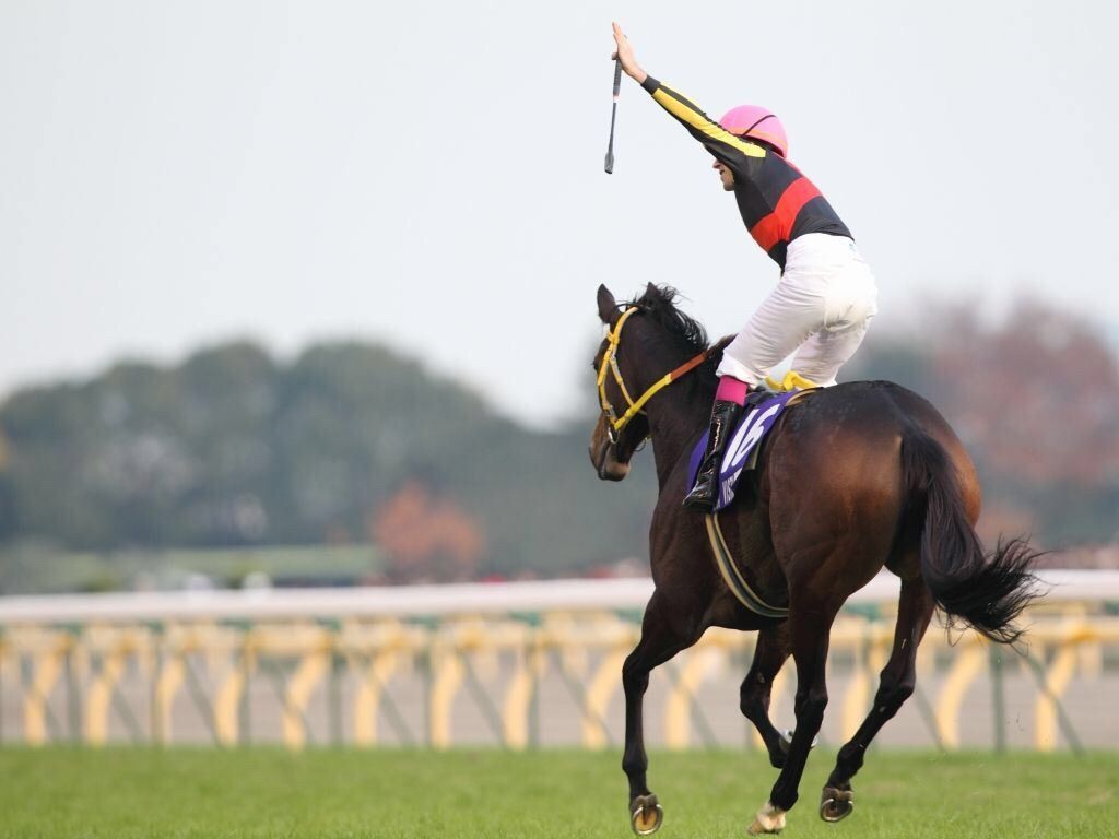 名牝ブエナビスタの軌跡 直感競馬 名牝ブエナビスタの軌跡 直感競馬