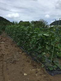 IMG_0282