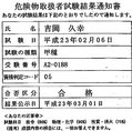 20110304101315207