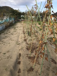 IMG_1535
