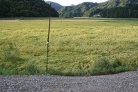 INEKARI