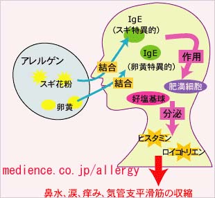 茶のしずく事件 検証 １ 時の旅人yoshipyuta