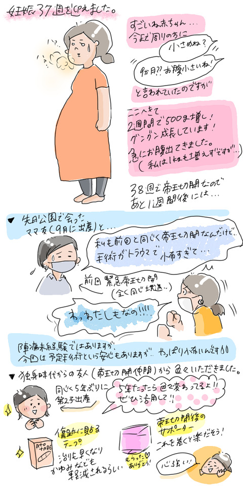 妊娠37週と韓国ドラマ わたしと 我が子と 肉旦那