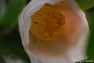 08-yoDSC_0377.JPG