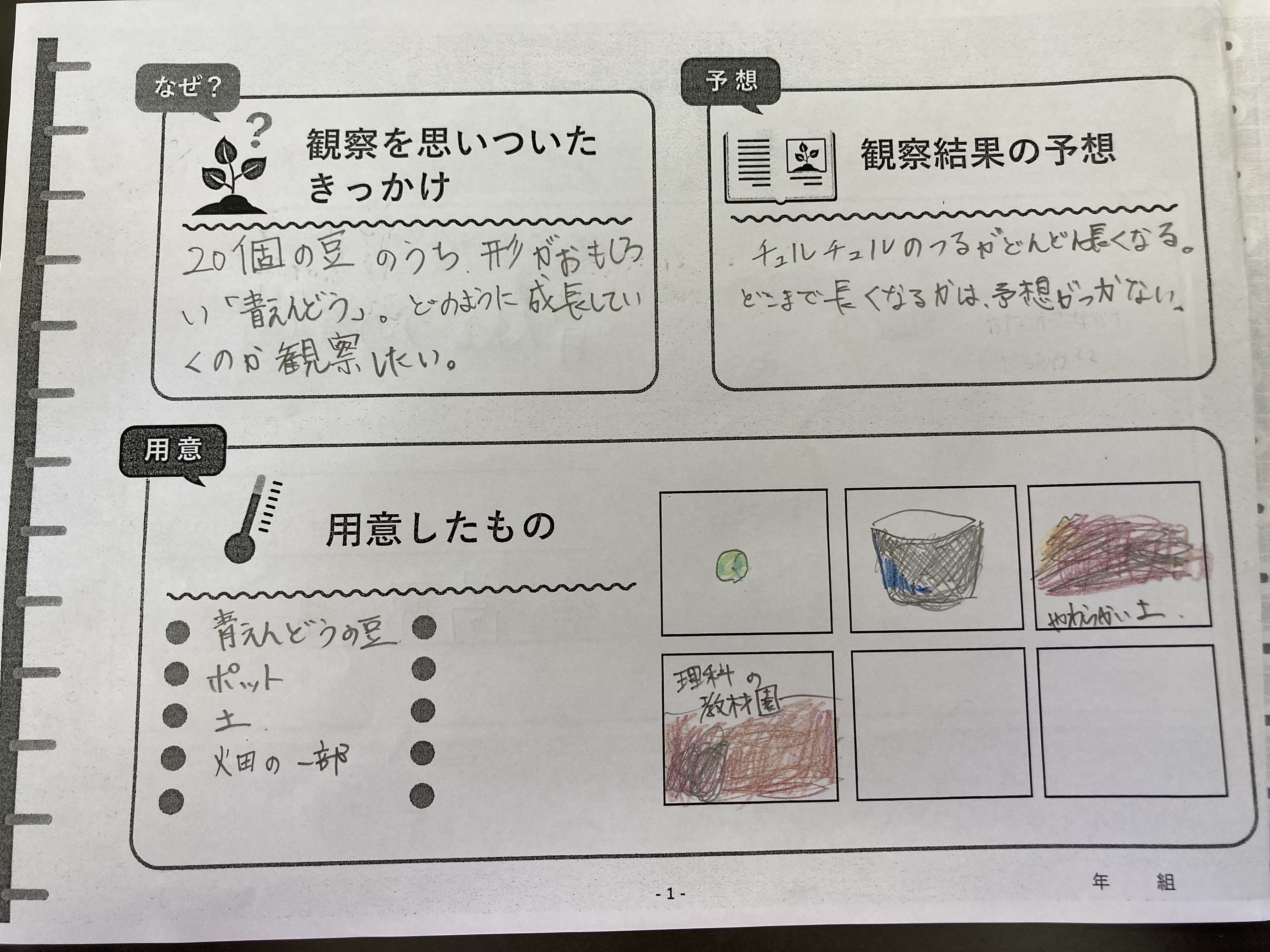 自由研究の紹介 与那国町立与那国小学校ホームページ