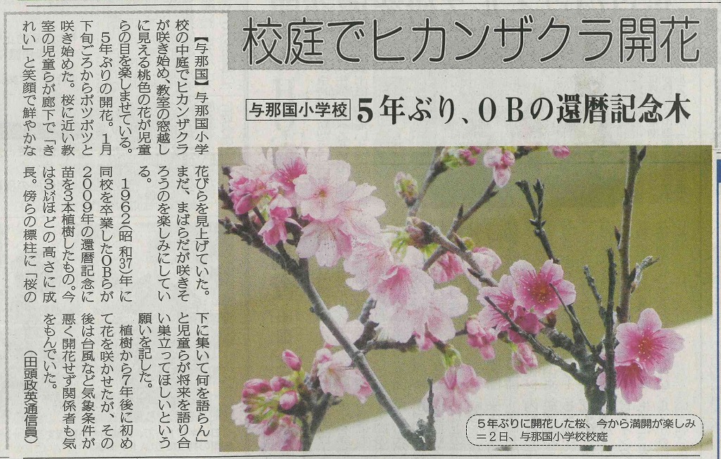 2 4 木 八重山毎日新聞 ヒカンザクラ開花 与那国町立与那国小学校ホームページ 2 4 木 八重山毎日新聞 ヒカンザクラ開花 与那国町立与那国小学校ホームページ