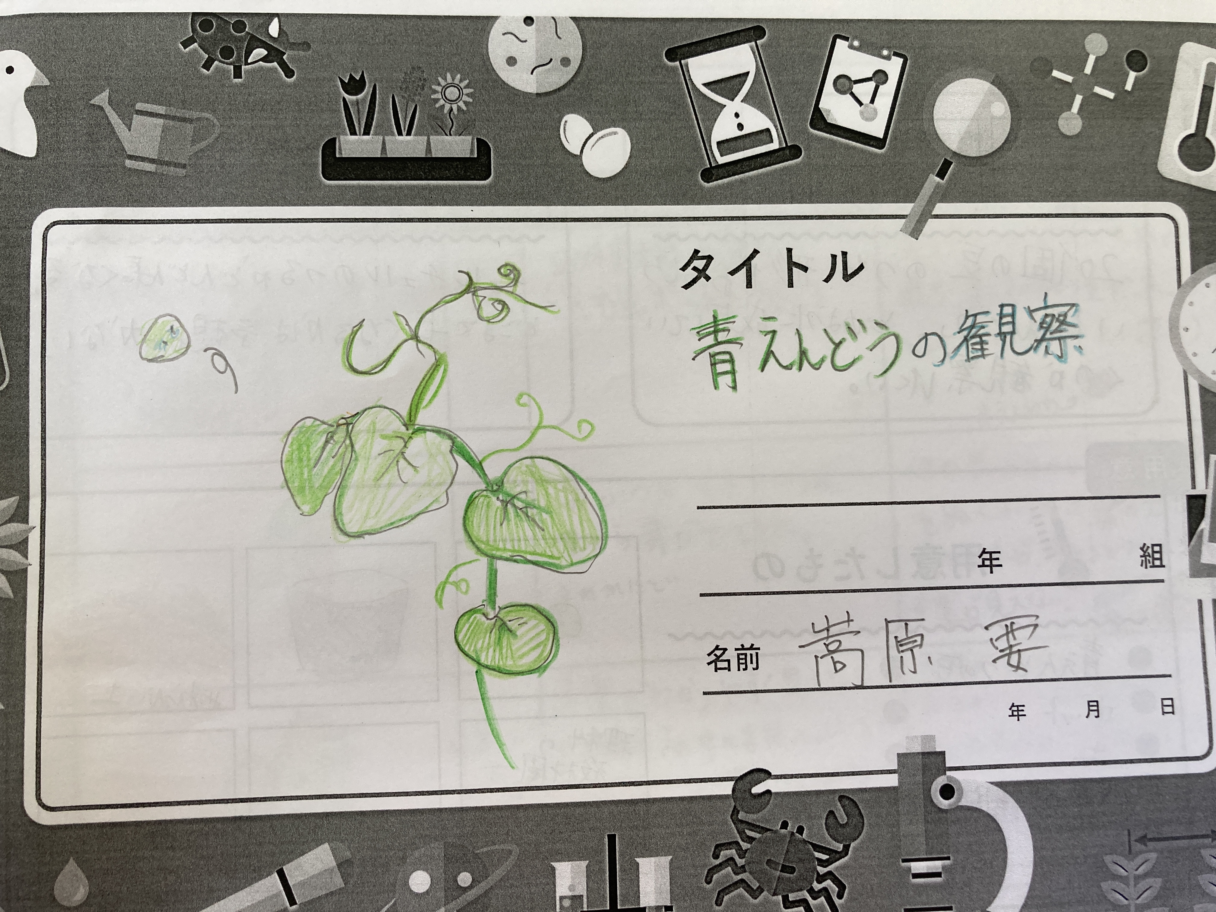 自由研究の紹介 与那国町立与那国小学校ホームページ